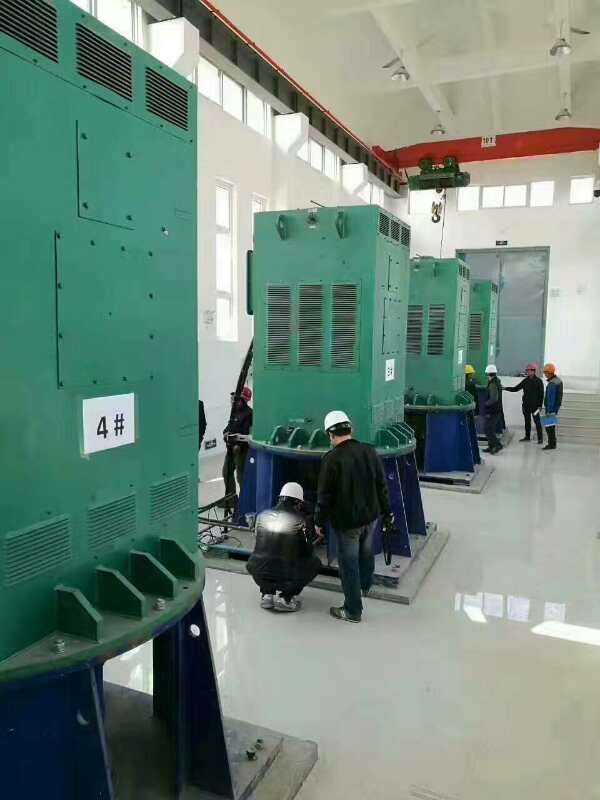 西藏某污水处理厂使用我厂的立式高压电机安装现场