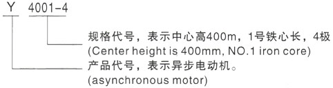 西安泰富西玛Y系列(H355-1000)高压西藏三相异步电机型号说明