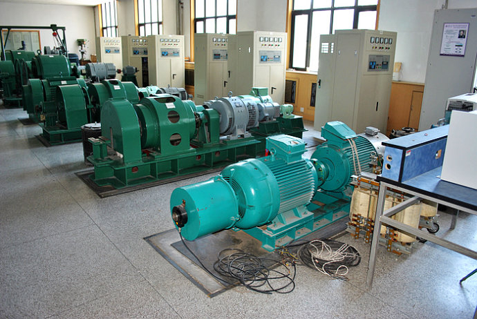 西藏某热电厂使用我厂的YKK高压电机提供动力
