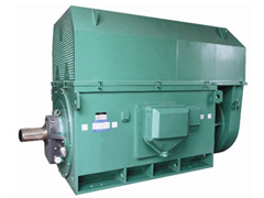 西藏Y系列6KV高压电机